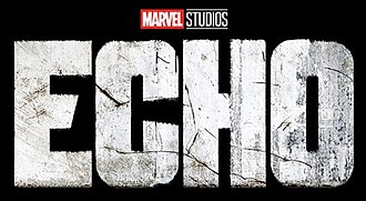 Echo poster